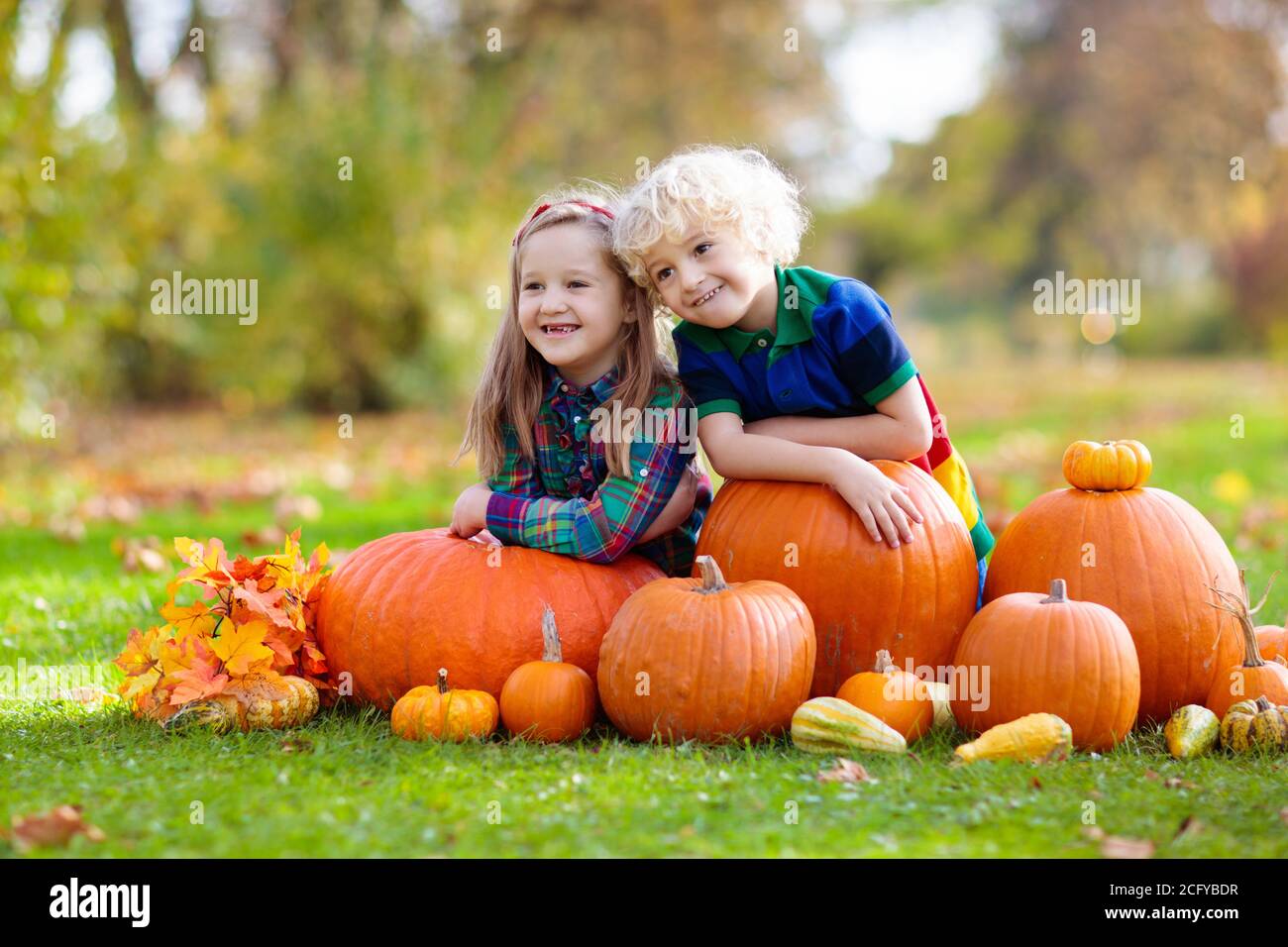 Group of little children enjoying harvest festival celebration at pumpkin patch. Kids picking and carving pumpkins at country farm on warm autumn day. Stock Photo