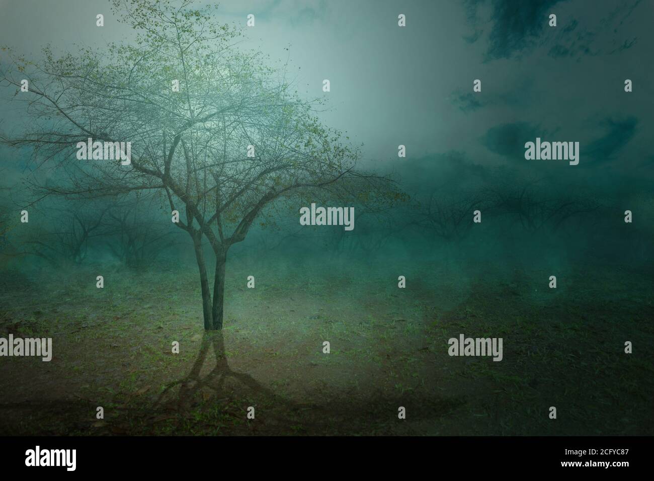 Field with fog with moonlight background Stock Photo - Alamy