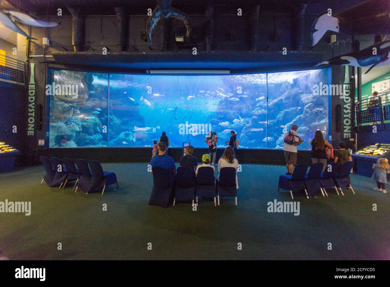 National marine Aquarium, Plymouth, Devon, England, United Kingdom