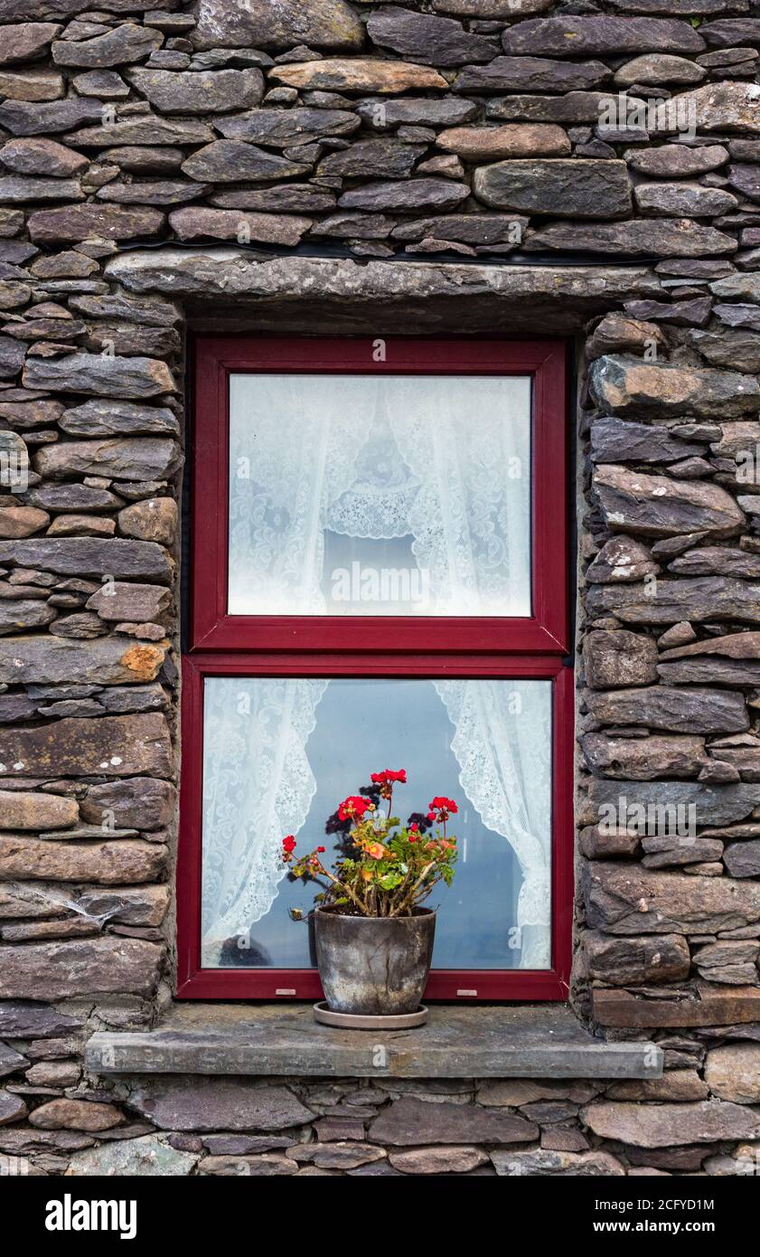 Red window of stone wall Irish cottage with flowers on windowsill. Co Kerry, Ireland Stock Photo