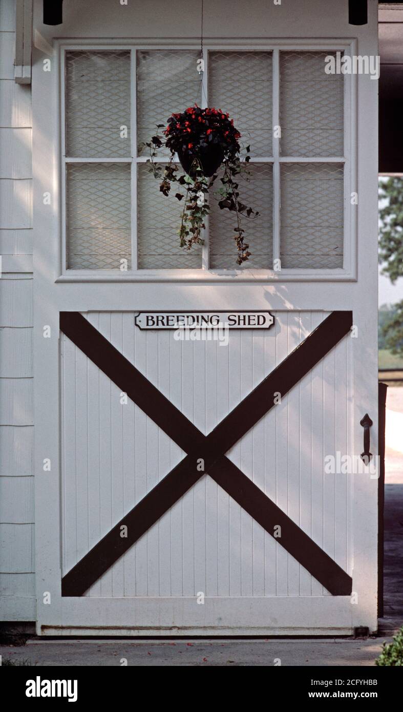 SPENDTHRIFT THOROUGHBRED HORSE FARM STABLES, LEXINGTON, KENTUCKY, USA, 1980s Stock Photo