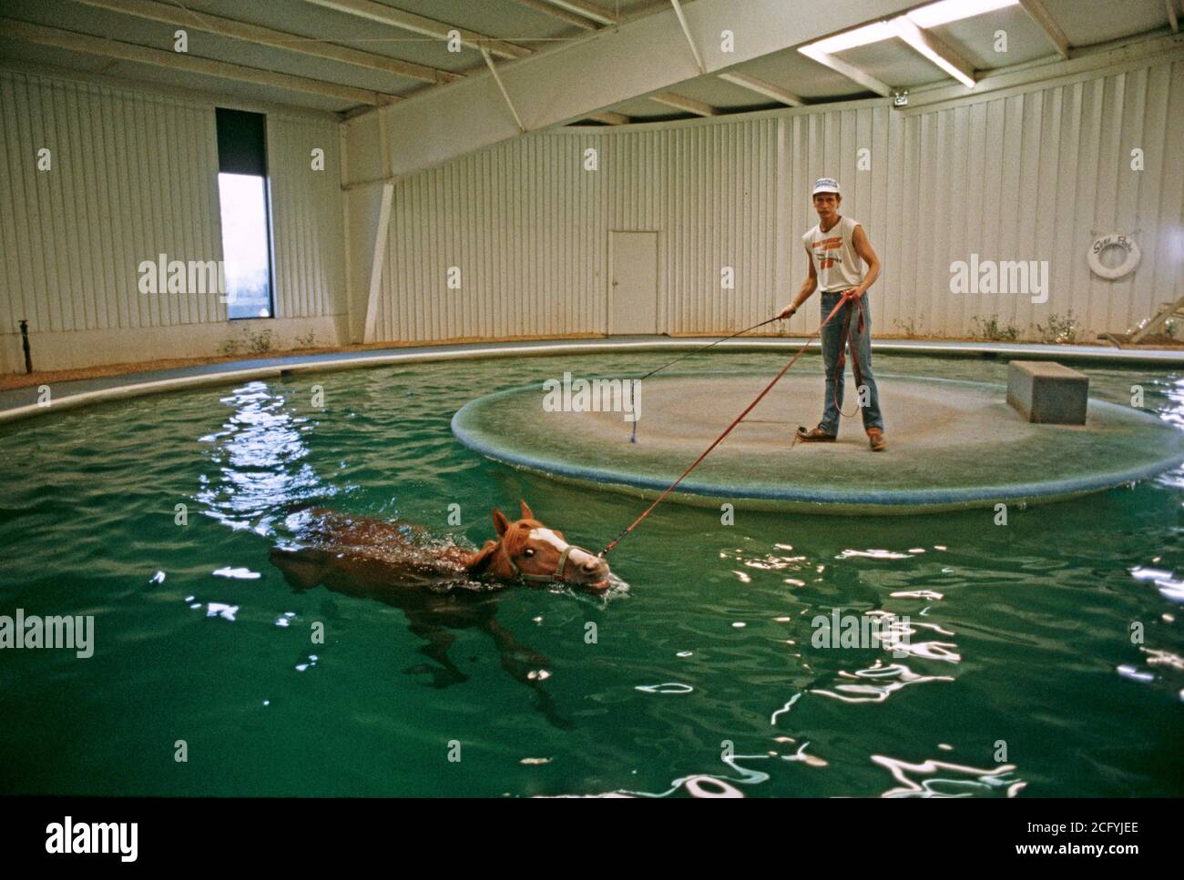 CARDIO VASCULAR HORSE EXERCISE POOL, KENTUCKY HORSE PARK, LEXINGTON, KENTUCKY, USA, 1980s Stock Photo