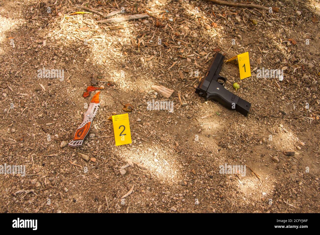 close up of a detective hand removing evidence of the crime like gun or bloody knife from the crime scene numbered with yellow cards and yellow police Stock Photo