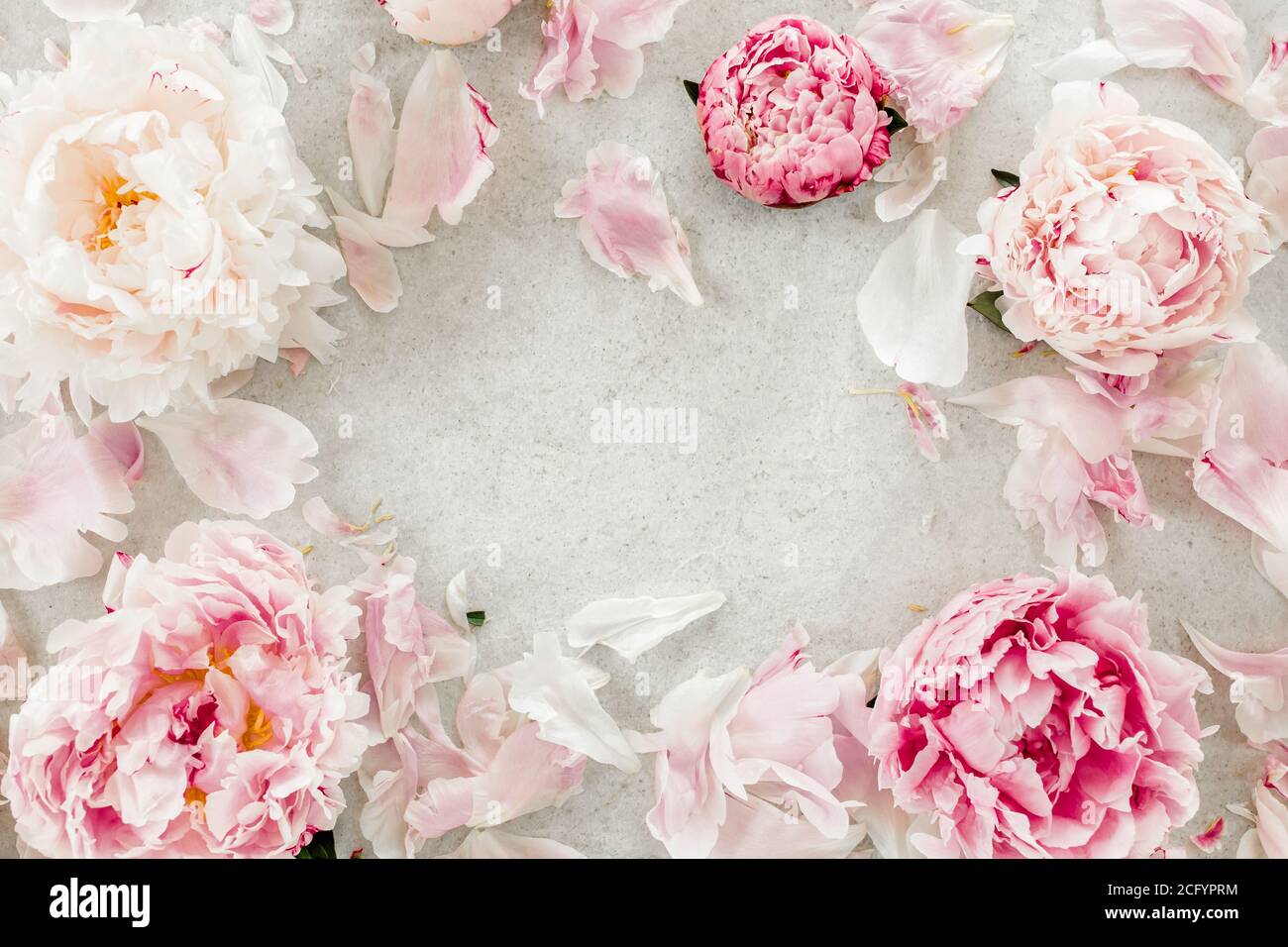 Frame made of pink peonies flower on gray background. Flat lay, top ...
