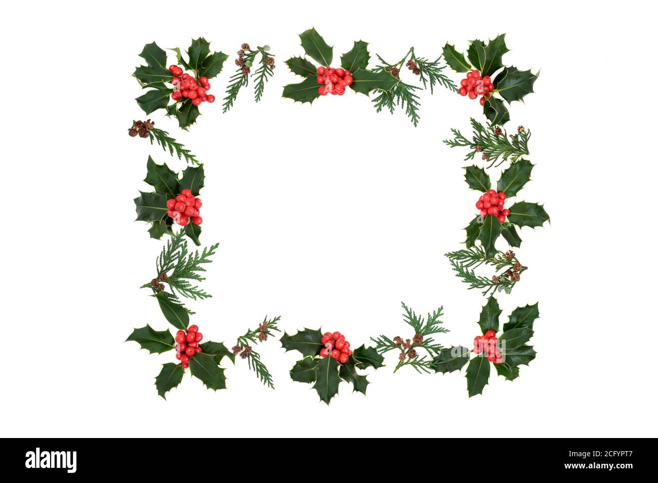 Winter, Christmas & New Year square holly berry & cedar leaf wreath on white background.  Natural festive theme & border for the holiday season. Stock Photo