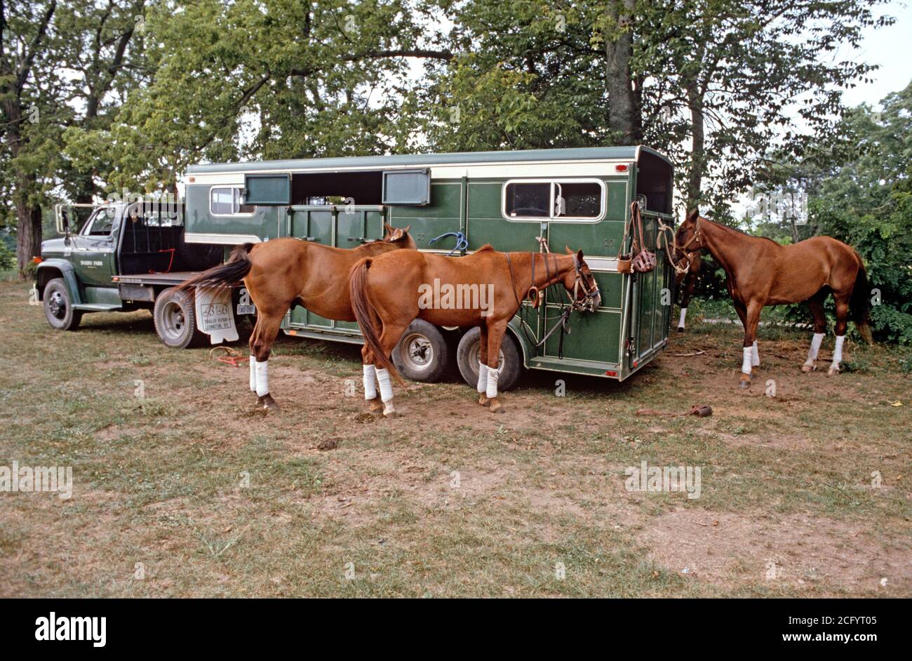 POLO HORSES BOXES, LEXINGTON, KENTUCKY, USA, 1980s Stock Photo