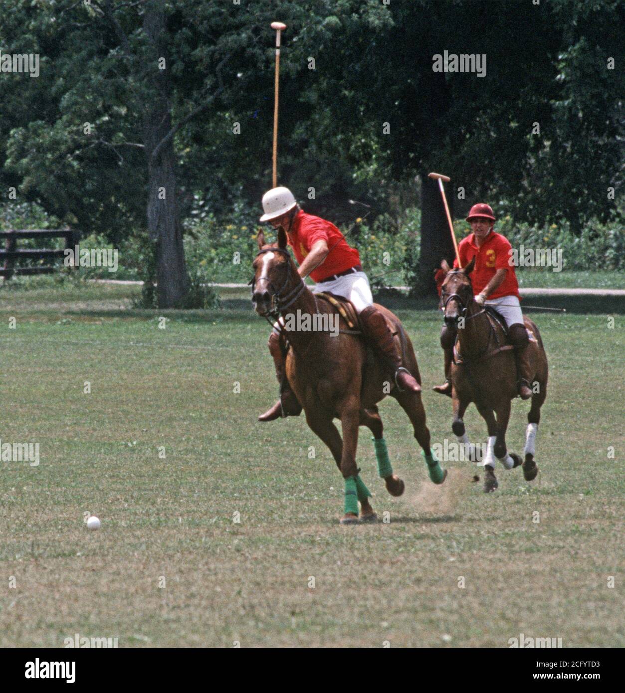 POLO PLAYING IN LEXINGTON, KENTUCKY, USA, 1980s Stock Photo