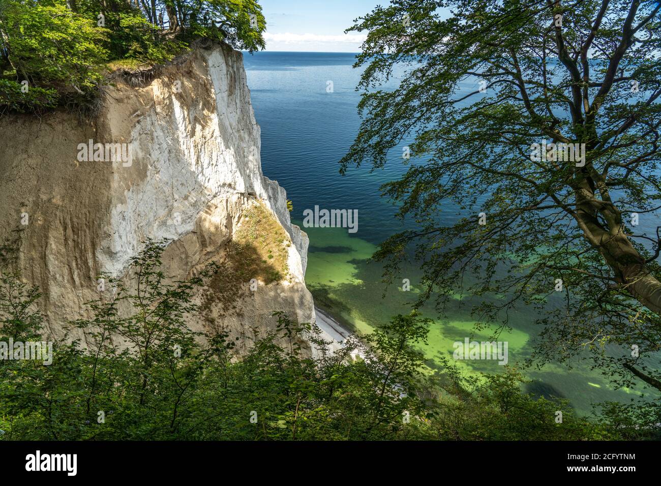 Steilküste und Kreidefelsen Møns Klint, Insel Mön, Dänemark, Europa