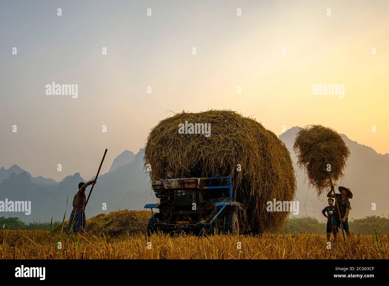 Myanmar (Burma), Karen state, Hpa An, rice-field in karstic landscape ...