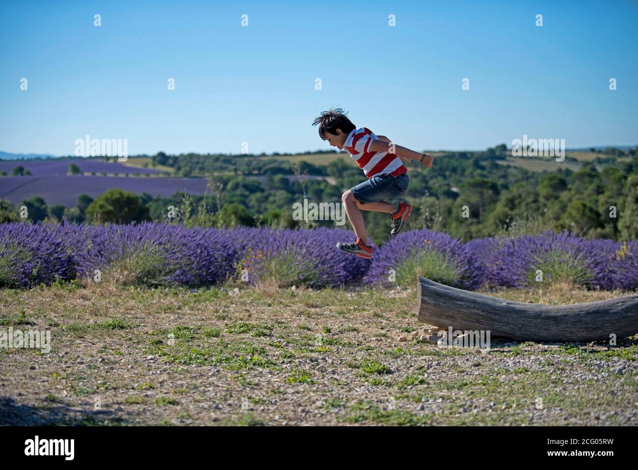 Boy jumping by lavender's fields Stock Photo