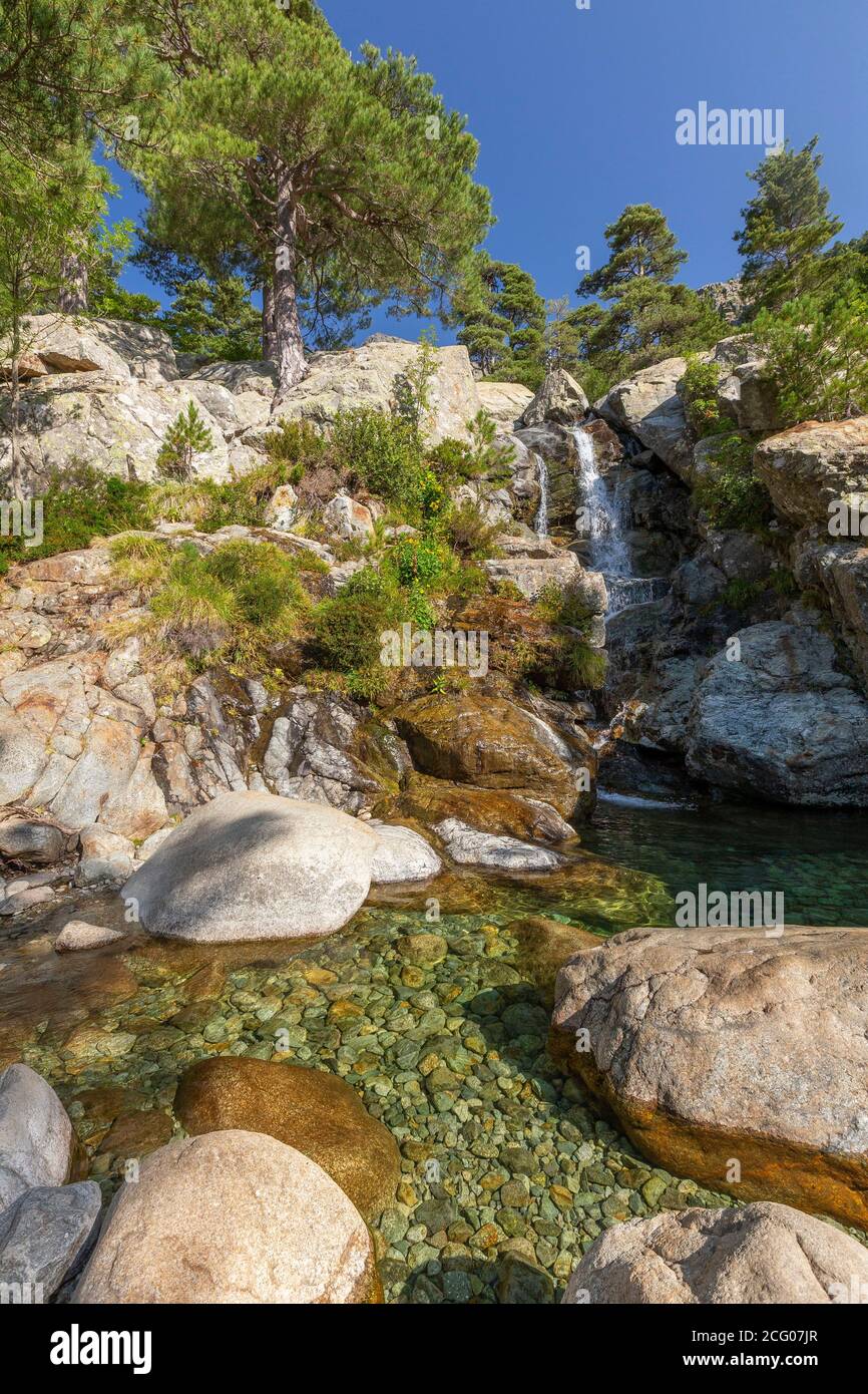 France, Haute-Corse, Vivario, GR20, stage between the Onda and Vizzavona refuge, Vizzavona forest, the English waterfalls, group of waterfalls in the Stock Photo