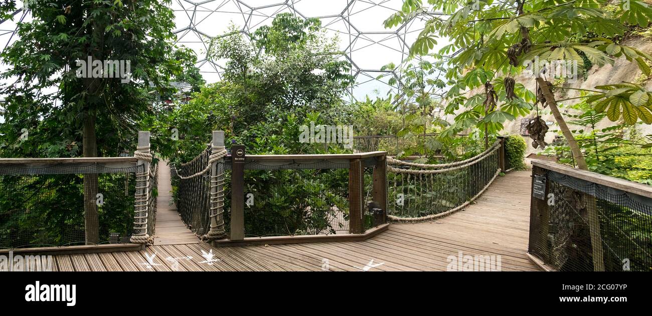 A panoramic view of the interior of rainforest geodesic biome domes at the Eden Project in Cornwall. Stock Photo