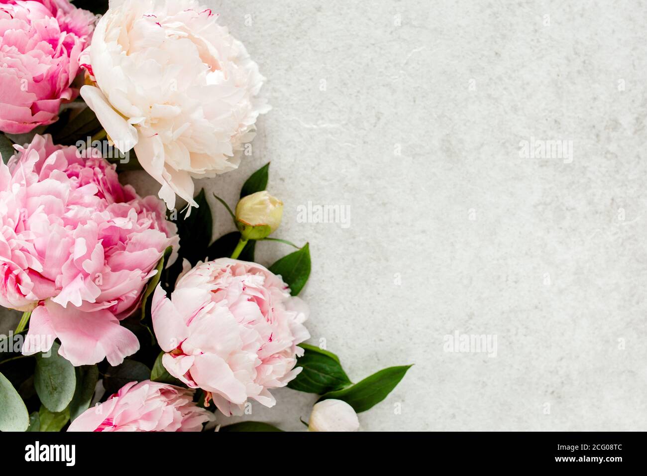 Frame made of pink peonies flower on gray background. Flat lay, top ...