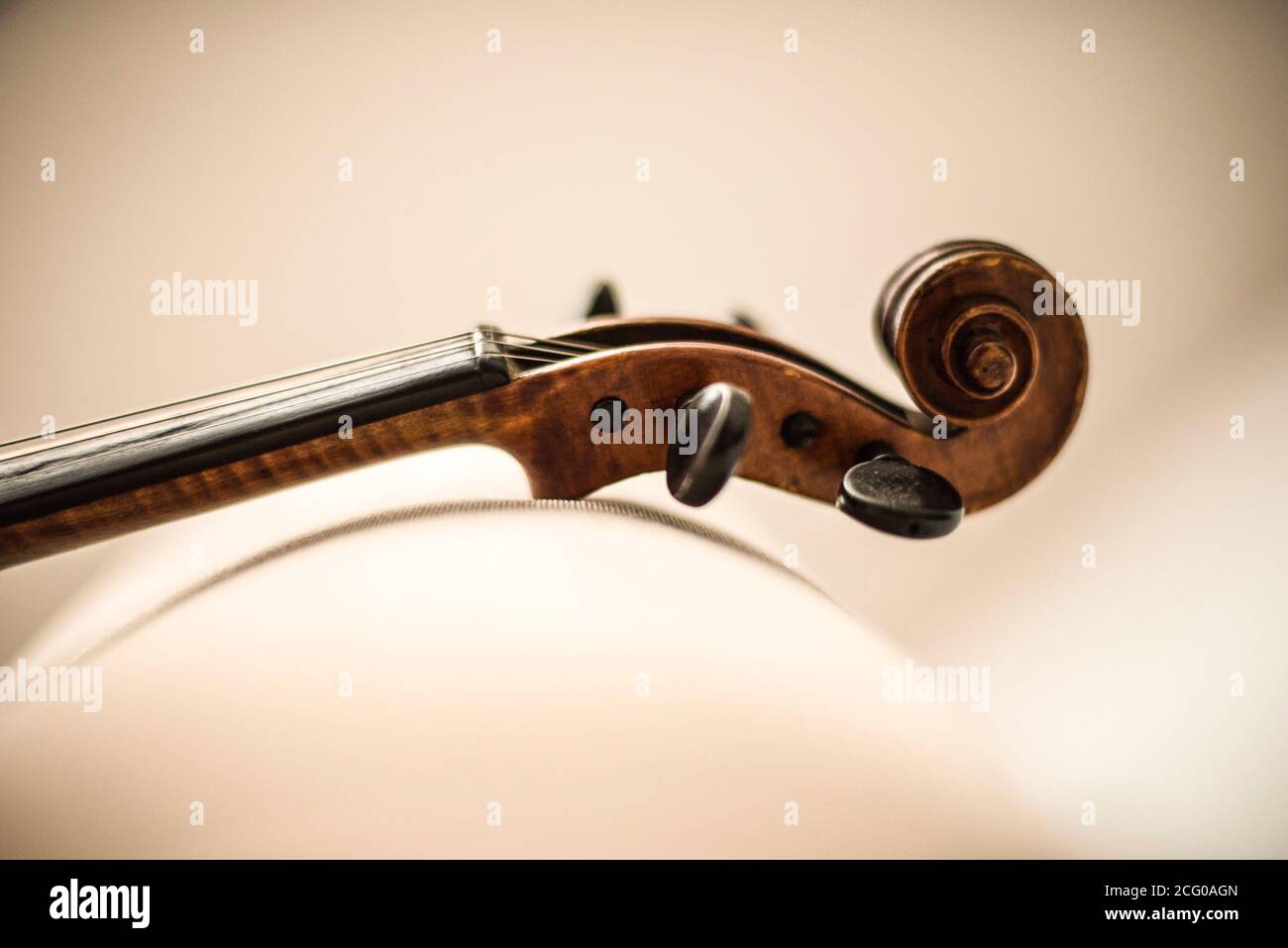 A close up of a violin on a white background Stock Photo