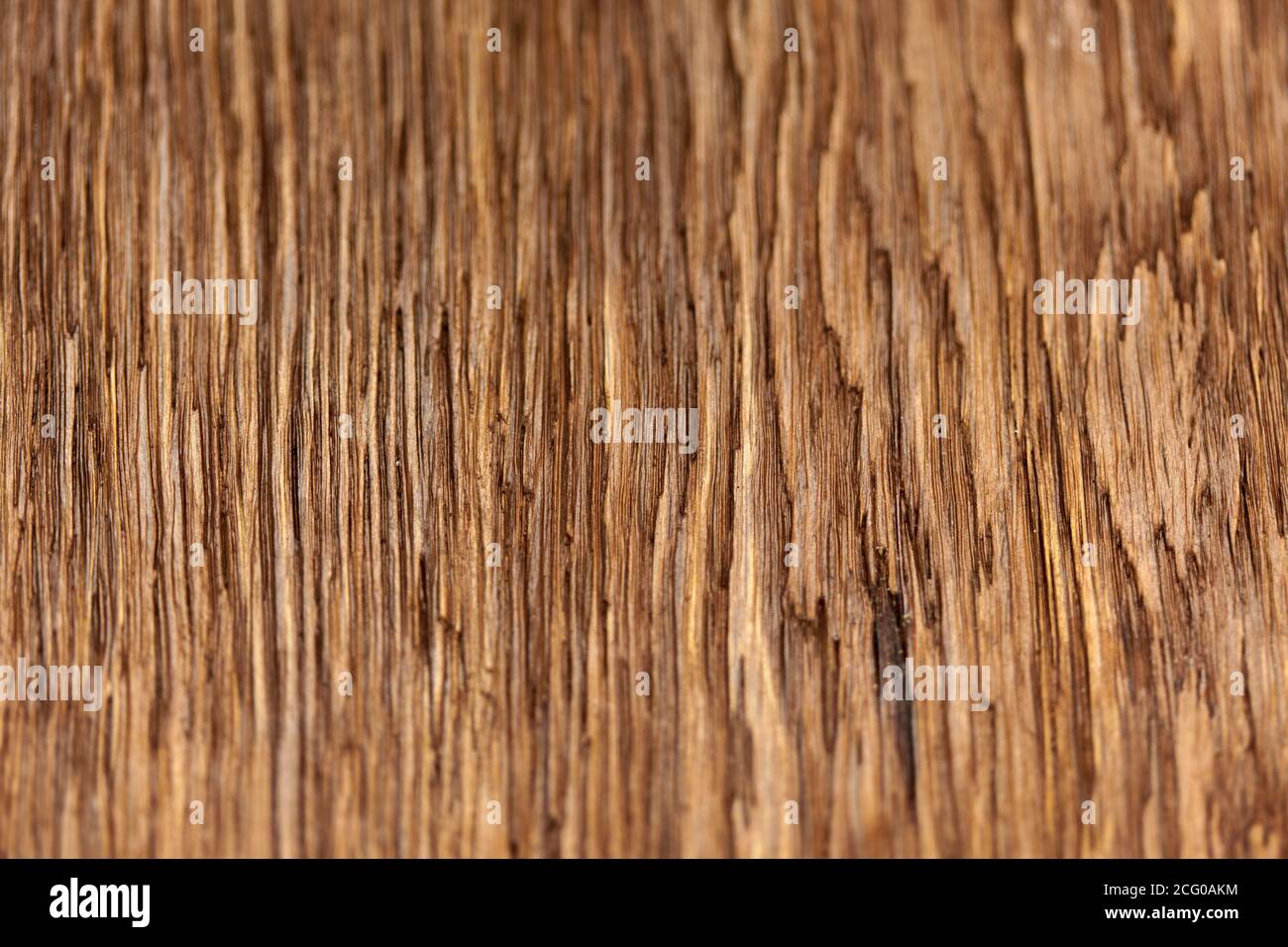 surface stained oak board as a background for creativity Stock Photo