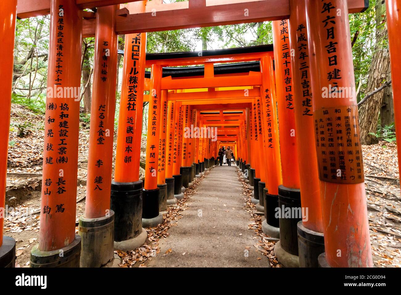 Page 3 Torii Gates Tunnel Fushimi Inari Kyoto High Resolution Stock Photography And Images Alamy