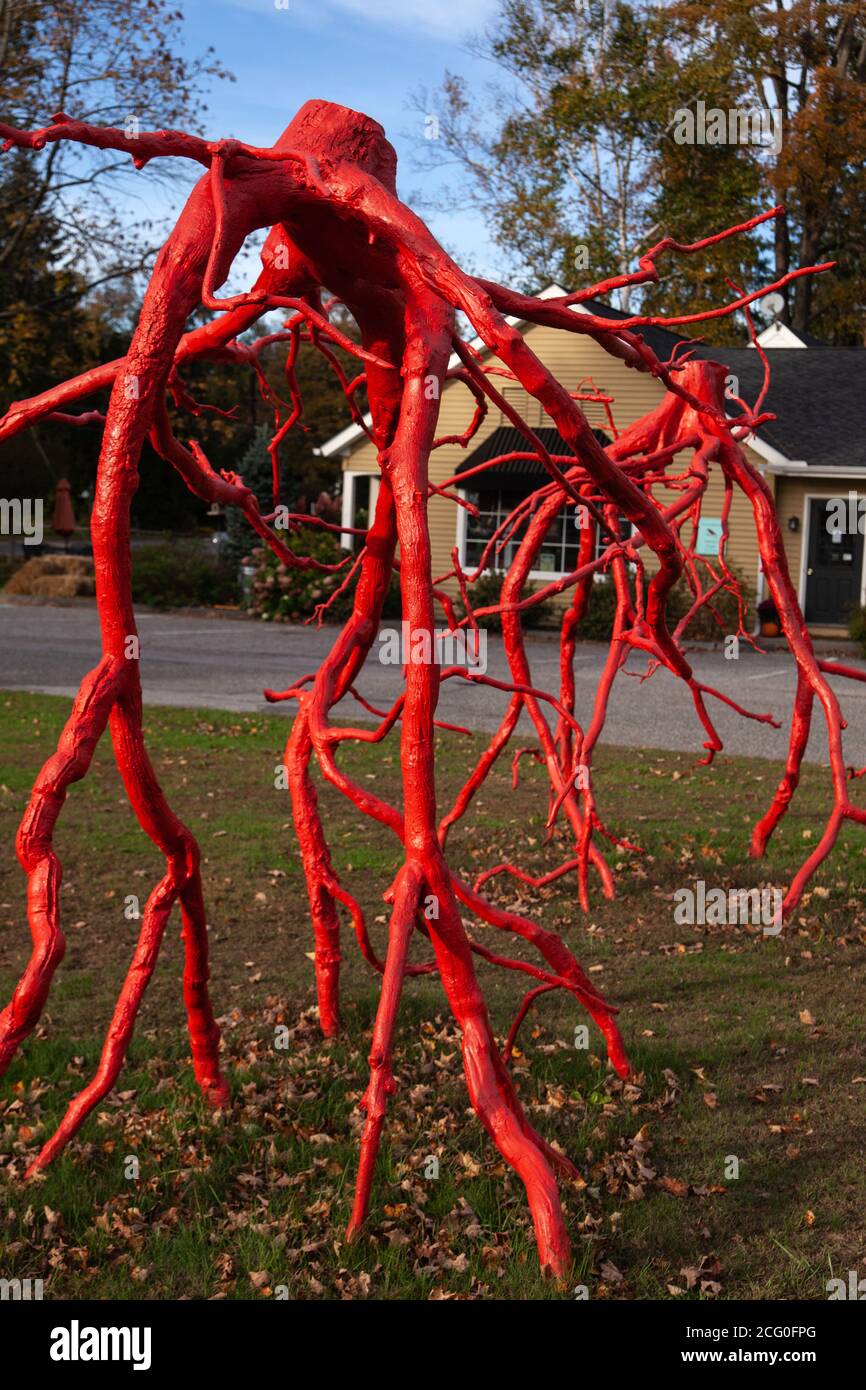 The art object - giant tree roots colored in red, displayed outside. Stock Photo
