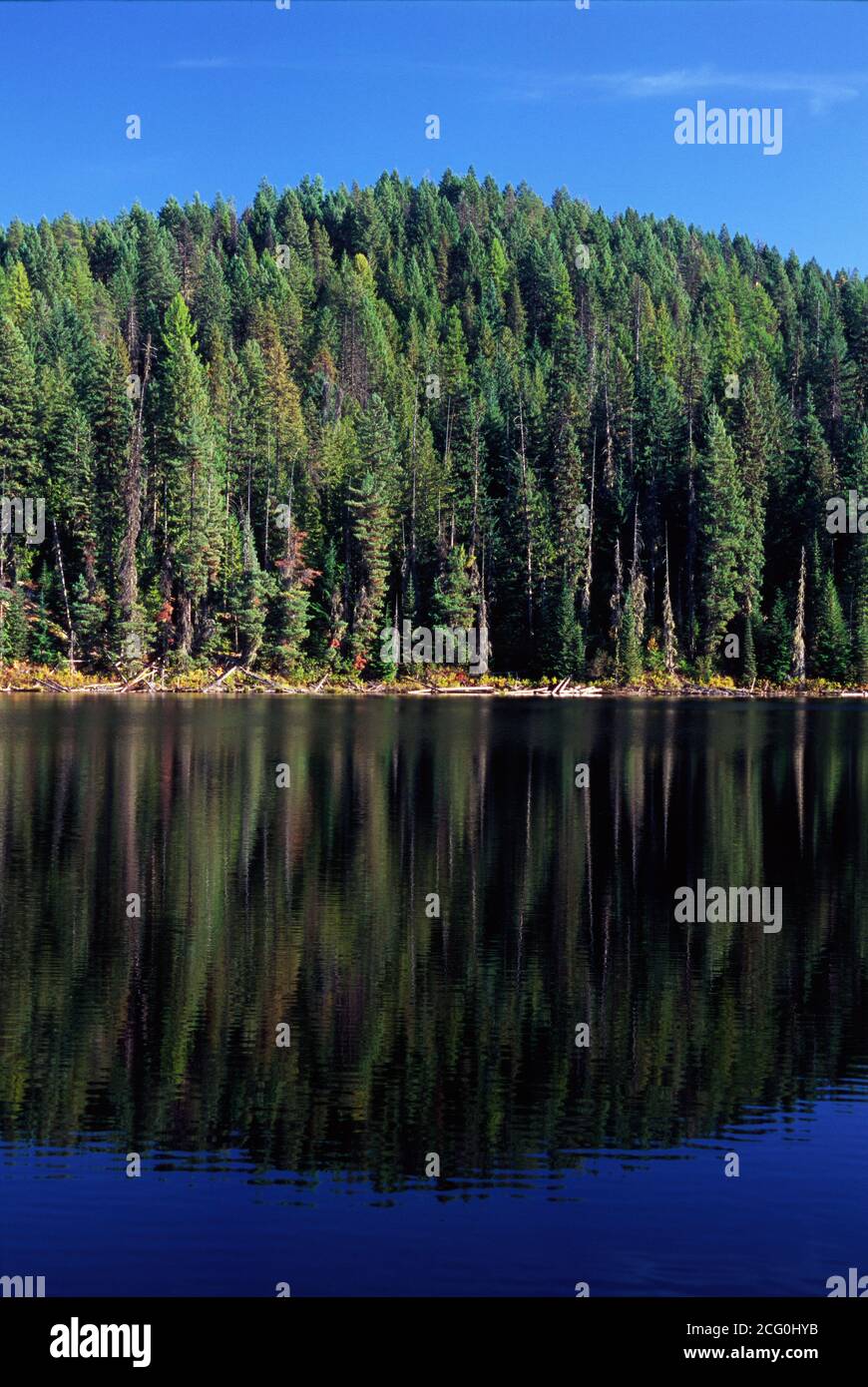 South Skookum Lake, Colville National Forest, Washington Stock Photo Alamy