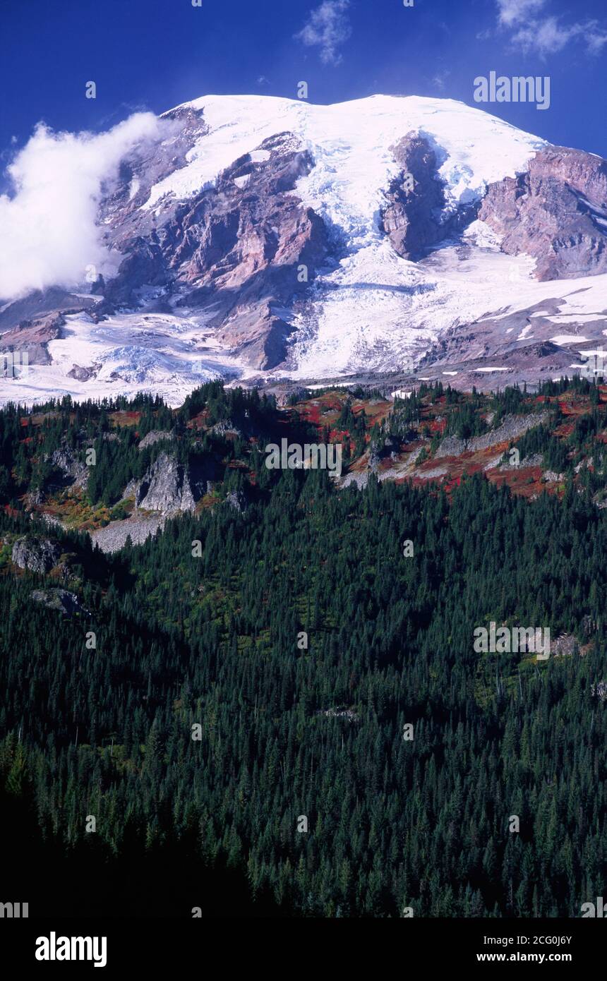 Mt Rainier from Stevens Canyon, Mt Rainier National Park, Washington ...