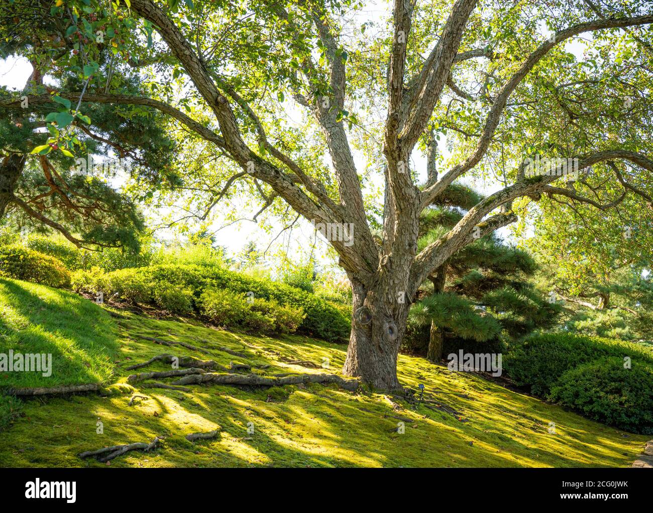 Grassy knoll hires stock photography and images Alamy