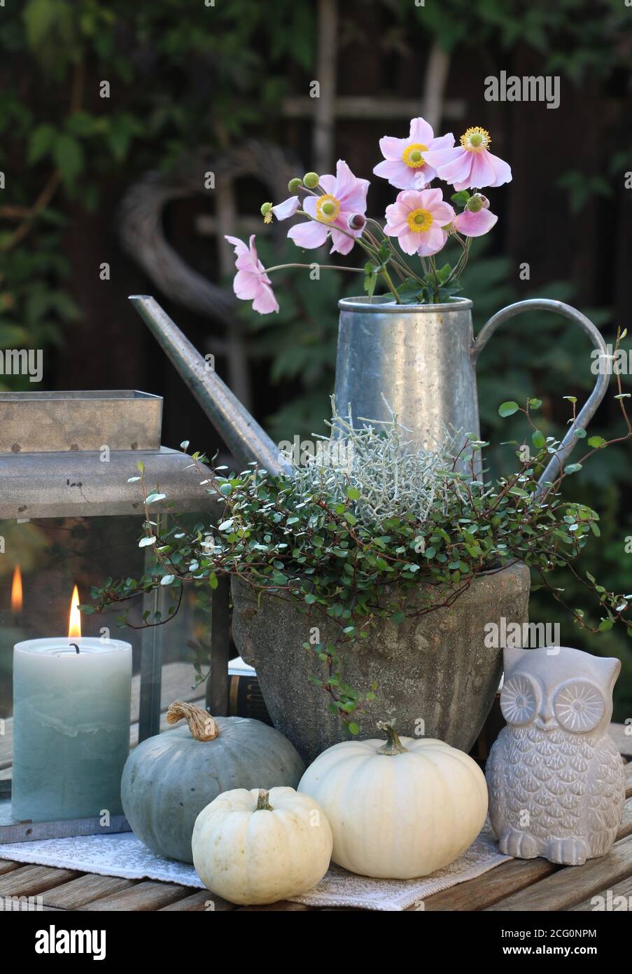 autumn garden decoration with bouquet of japanese anemone, pumpkins and candle Stock Photo