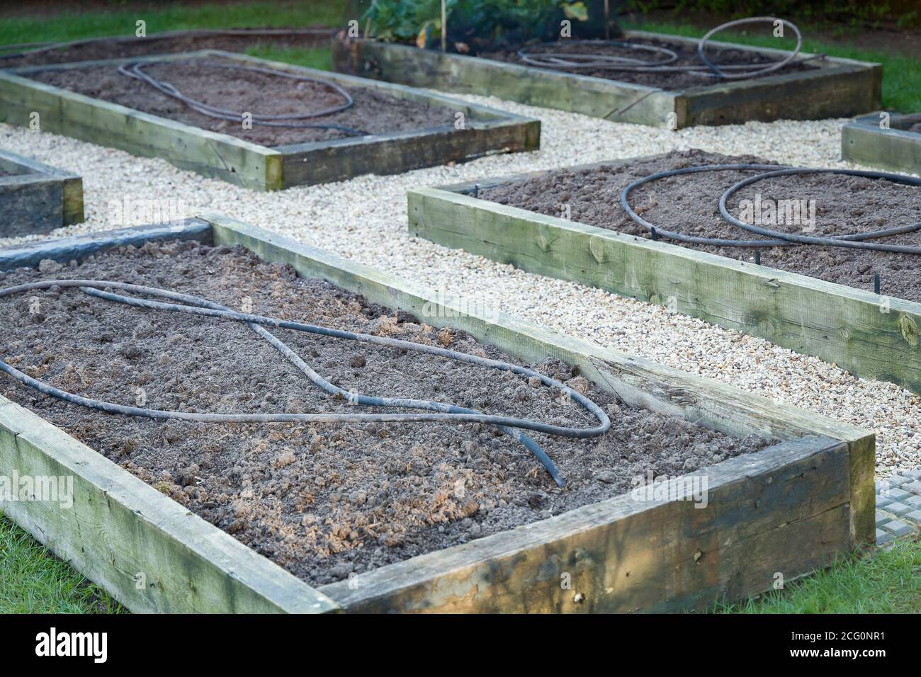 Empty raised beds in a vegetable garden in spring or winter. Depicts