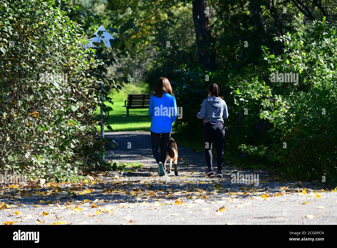 Two women walking a dog hi-res stock photography and images - Alamy