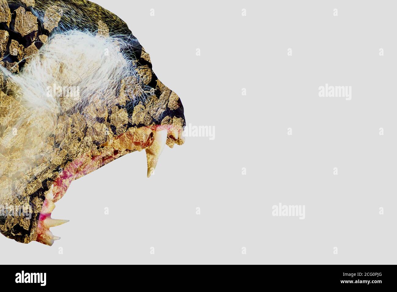 Double exposure wildlife hi-res stock photography and images - Alamy