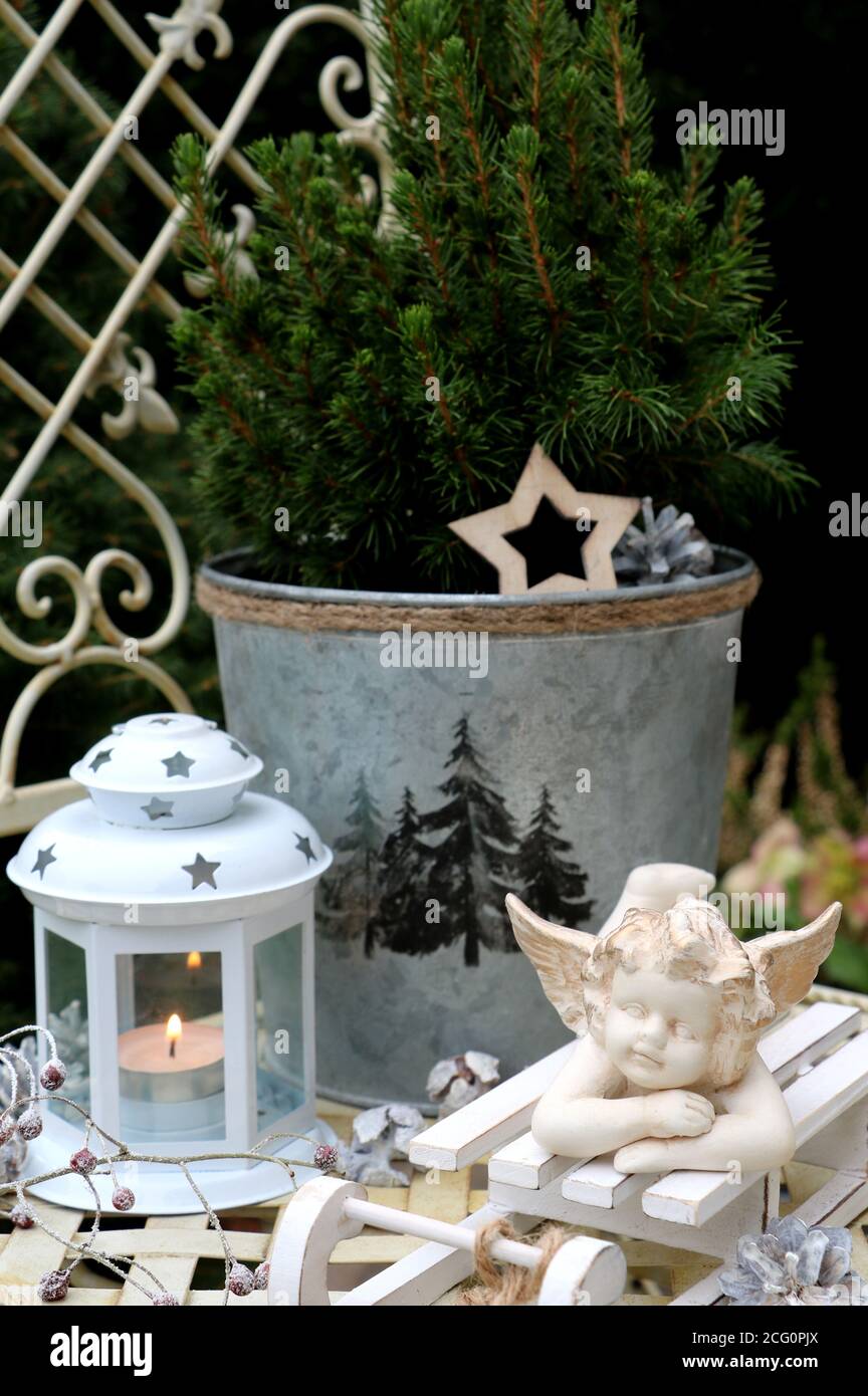 christmas decoration with angel, lantern and picea glauca Stock Photo