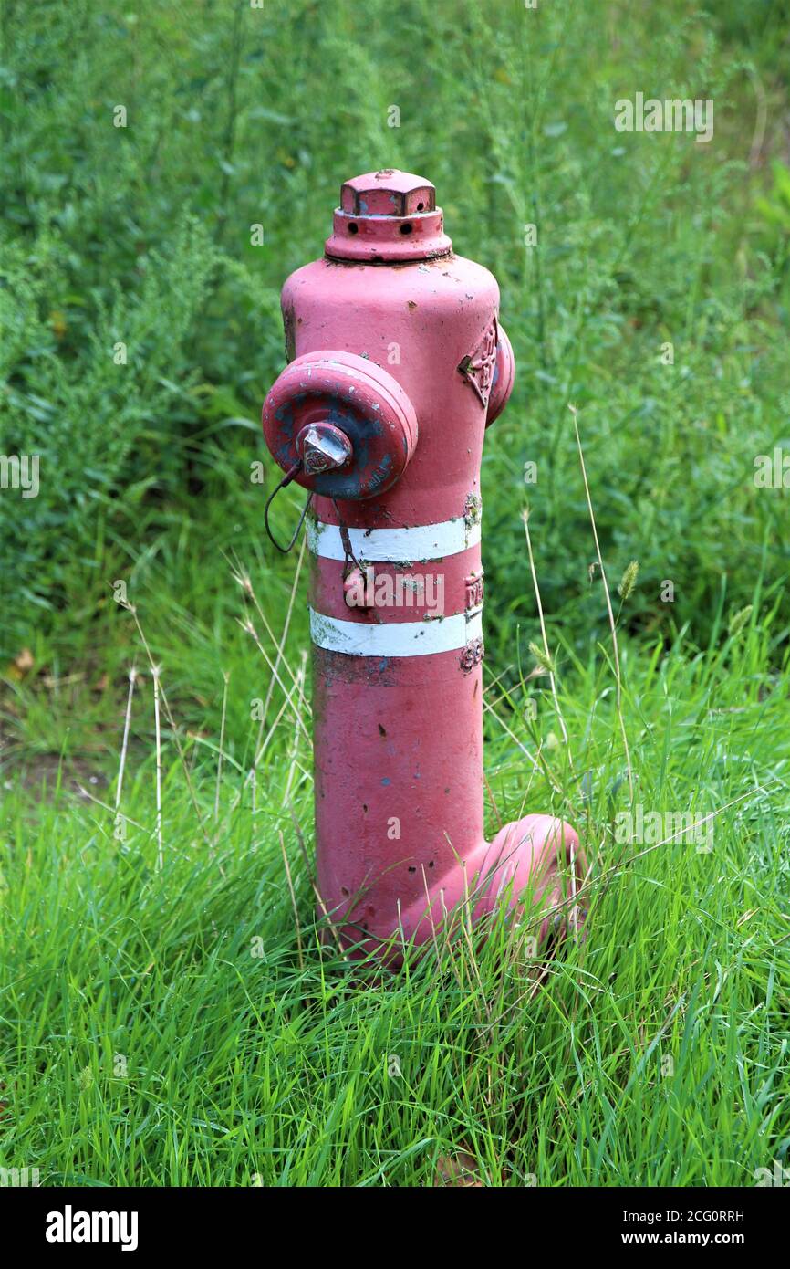 Water hydrant on the edge of a meadow Stock Photo