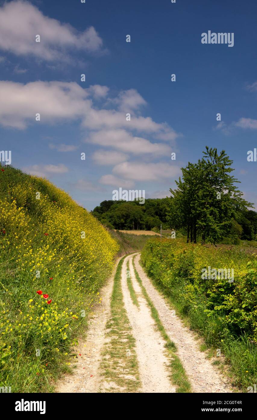 Road towards the Eyserbos Stock Photo