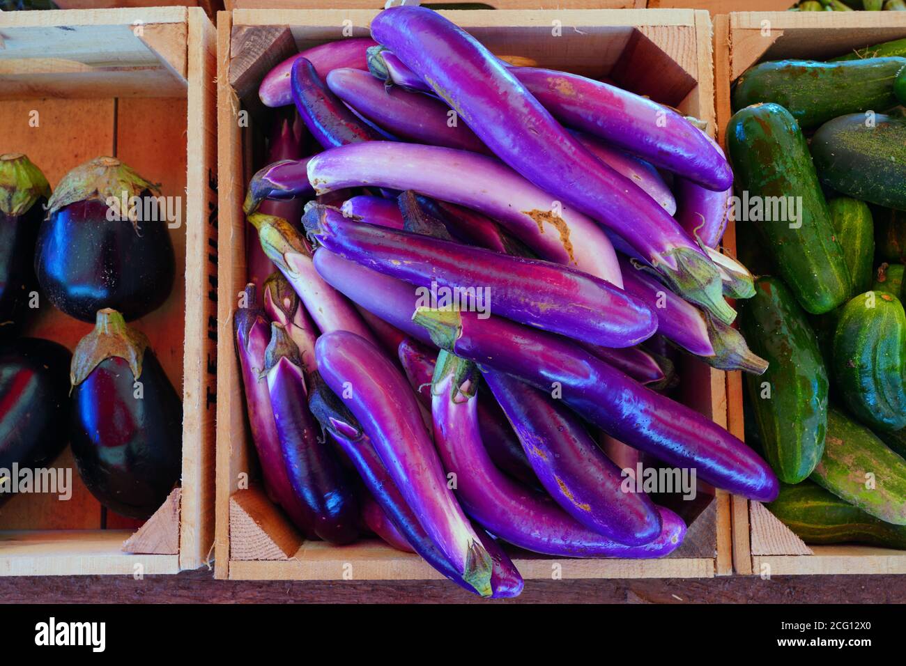 Long purple Ichiban Japanese eggplant Stock Photo Alamy
