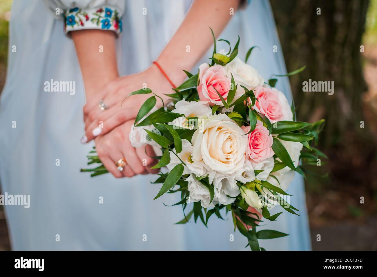 wedding bouquet in the hands of the bride of white and pink roses Stock ...