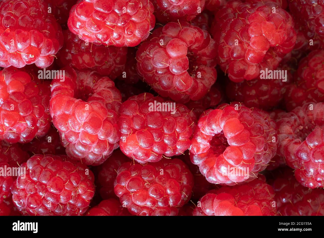A macro closeup of ripe raspberries, part of five-a-day fruit and vegetables and a healthy diet Stock Photo
