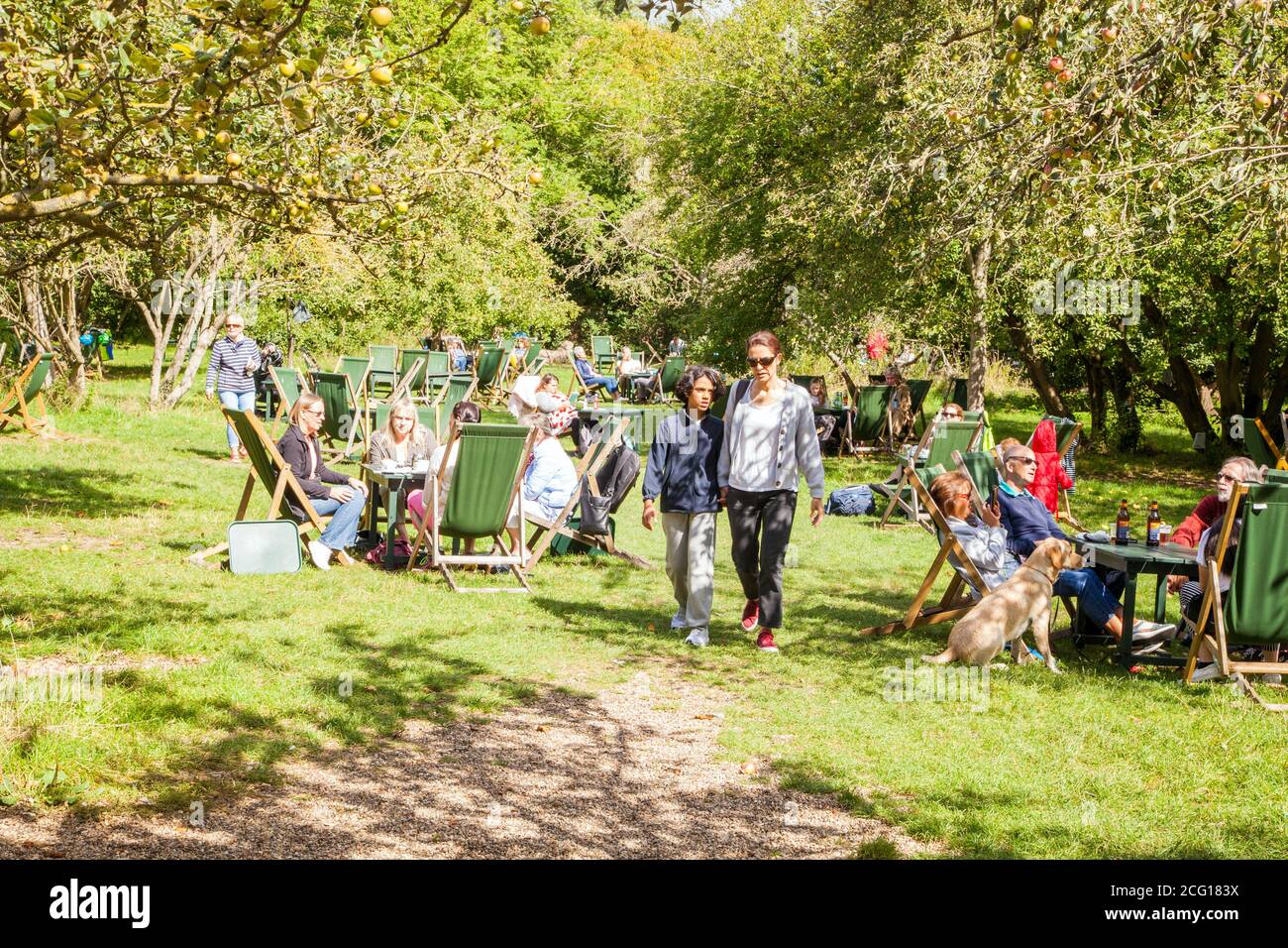 People enjoying summer sunshine eating and drinking outside in the The Orchard Tea Gardens at Grantchester Meadows on the river Cam Cambridgeshire Stock Photo