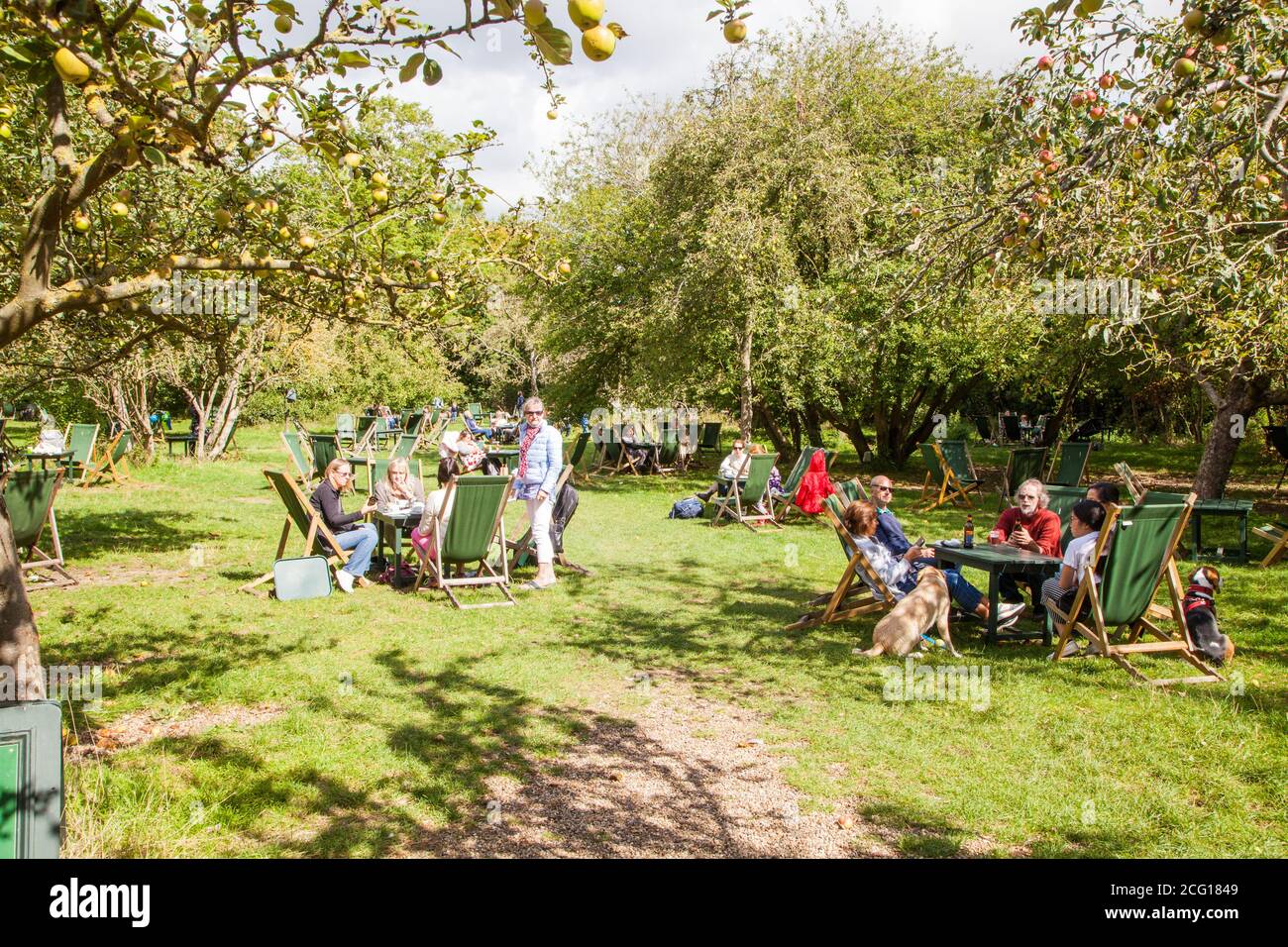 People enjoying summer sunshine eating and drinking outside in the The Orchard Tea Gardens at Grantchester Meadows on the river Cam Cambridgeshire Stock Photo