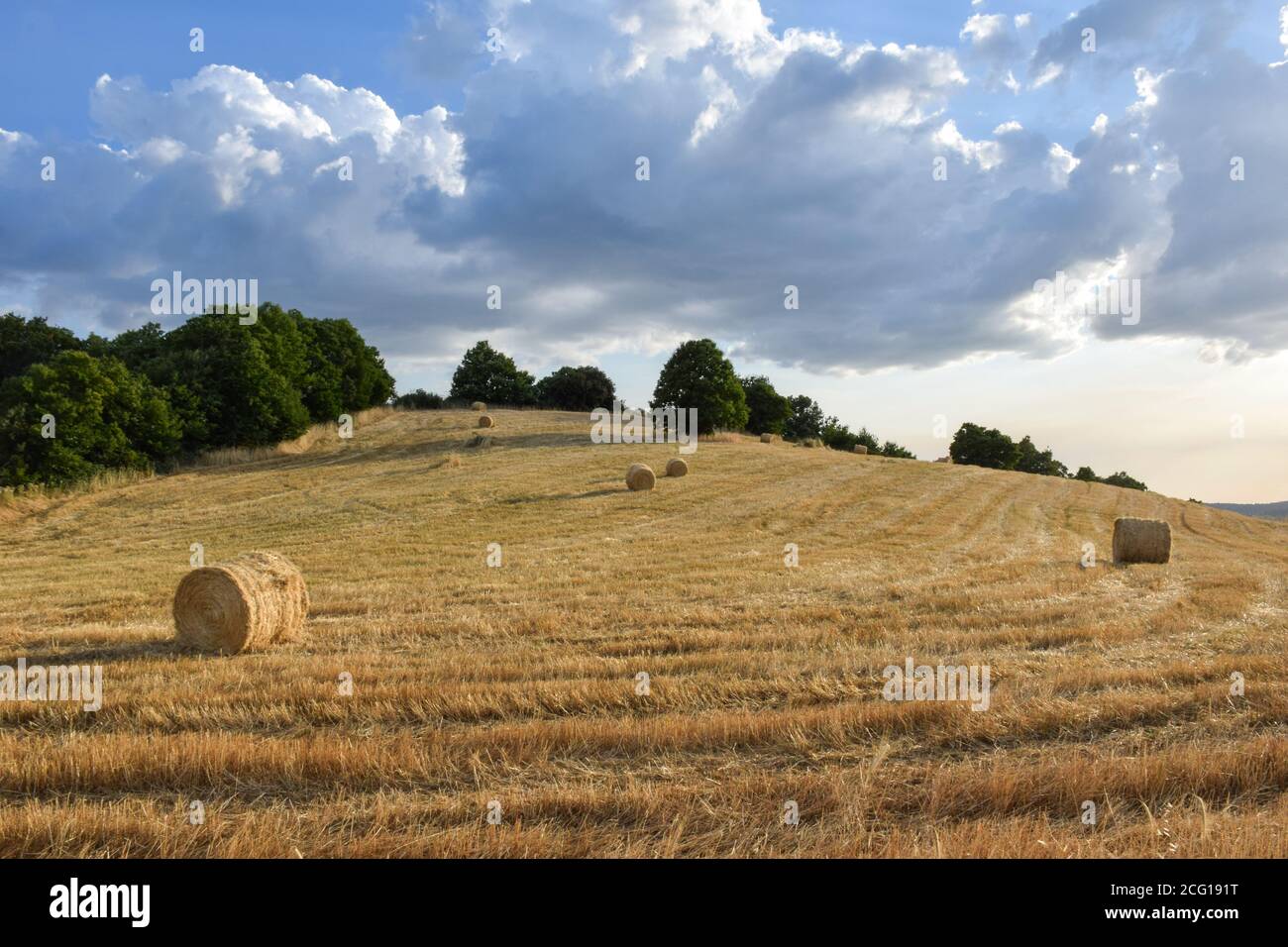 Bales of straw after harvesting cereal Stock Photo - Alamy