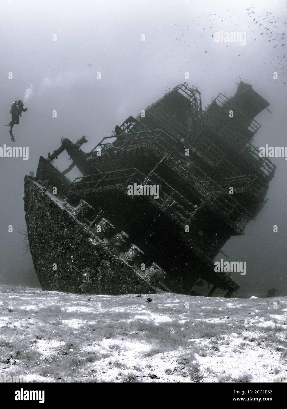 Scuba diver underwater with shipwreck  Stock Photo