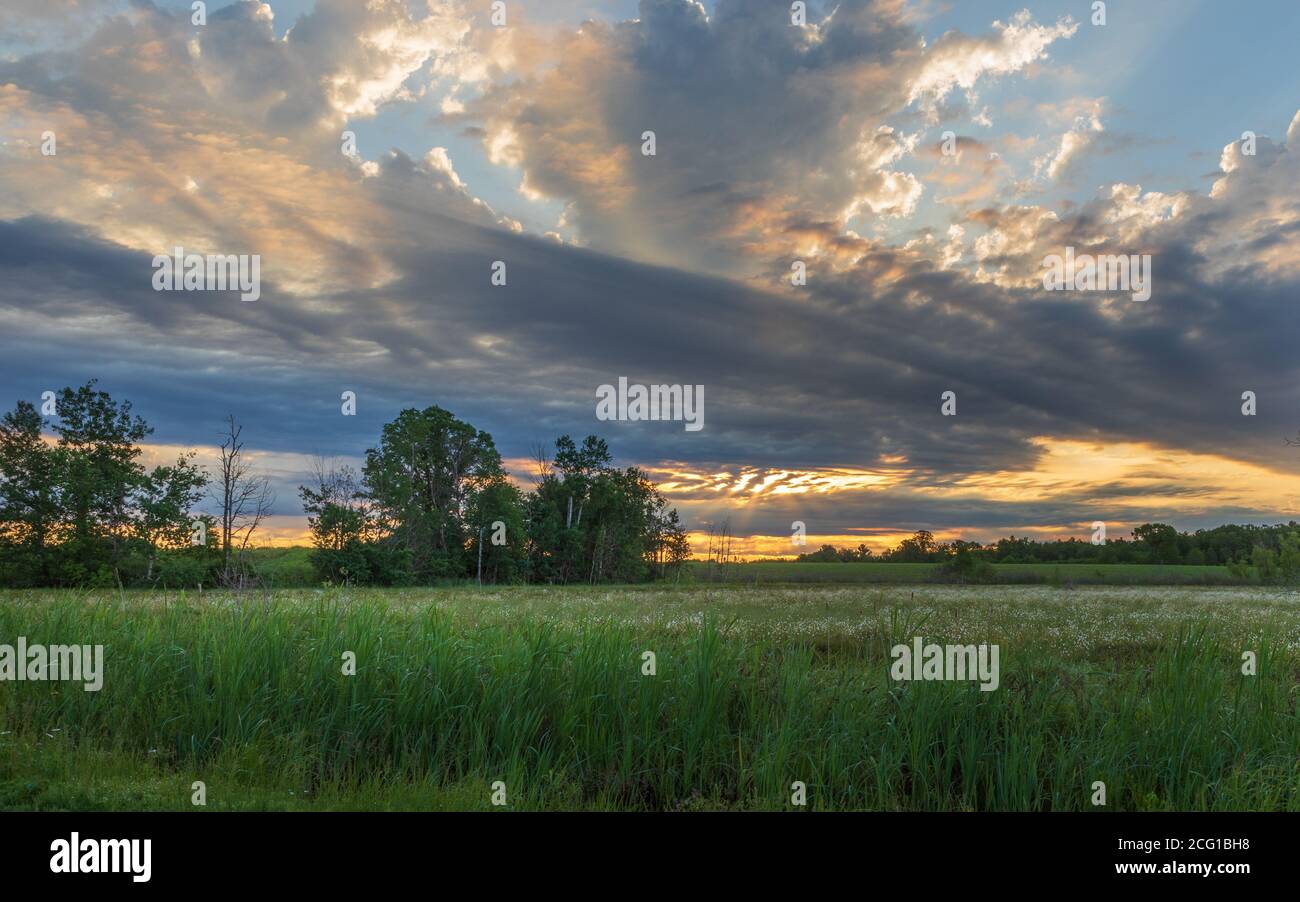 Sunrise over tranquil countryside field hi-res stock photography and ...