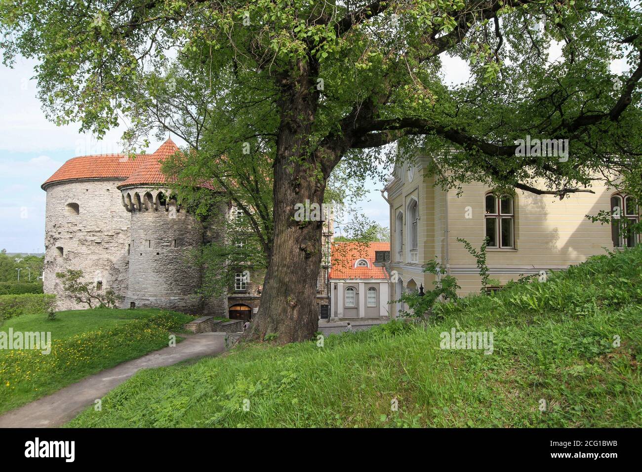 Tallinn in spring, side view of Fat Margaret Tower medieval round cannon tower part of city defences beside The Great Coastal Gate in Estonia. Stock Photo