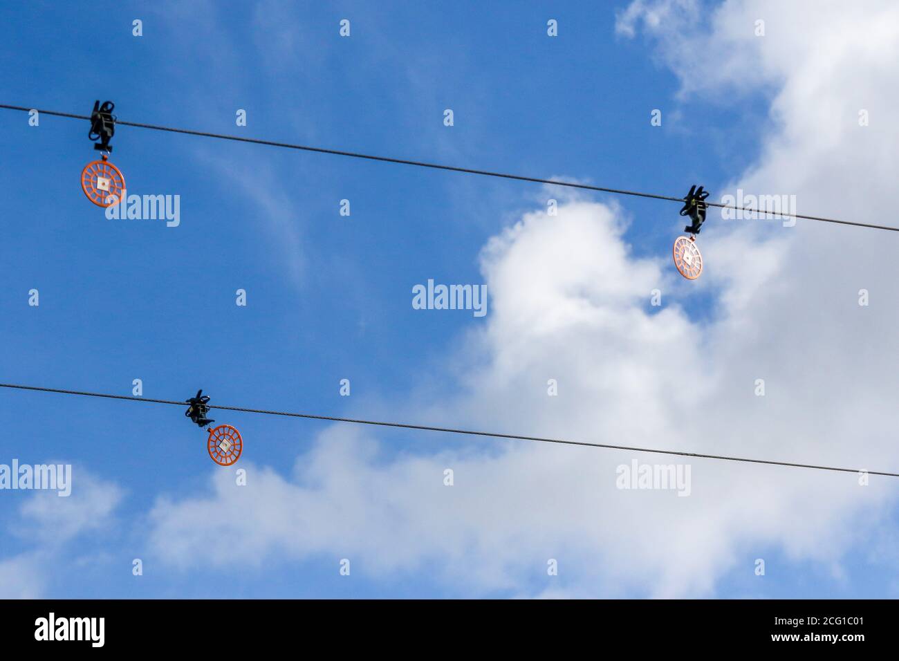 Bird flight deflectors hires stock photography and images Alamy