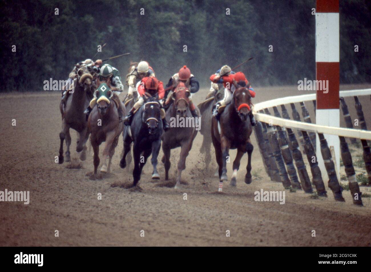 Thoroughbred horse racing in New York State Stock Photo Alamy