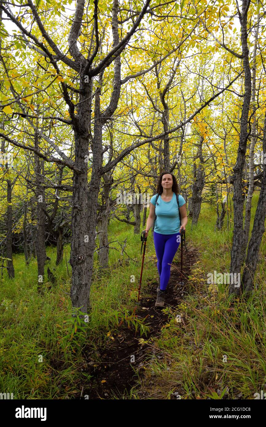 Adventurous Caucasian Girl Hiking up in the beautiful forest Stock ...