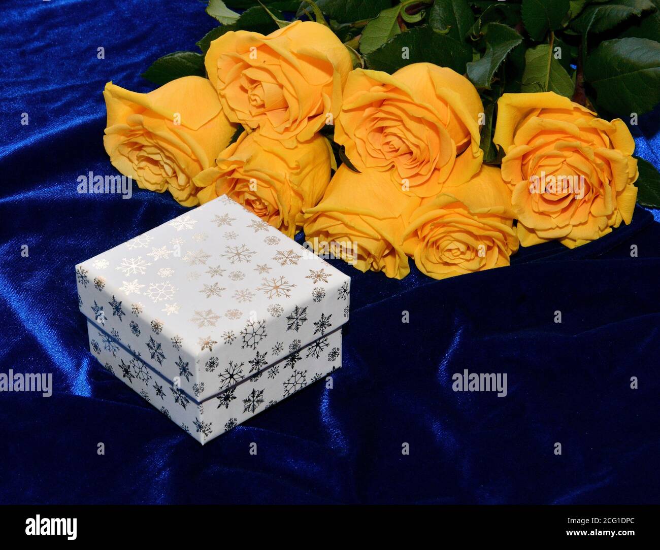 Yellow roses and gift in the Valentine's Day Stock Photo