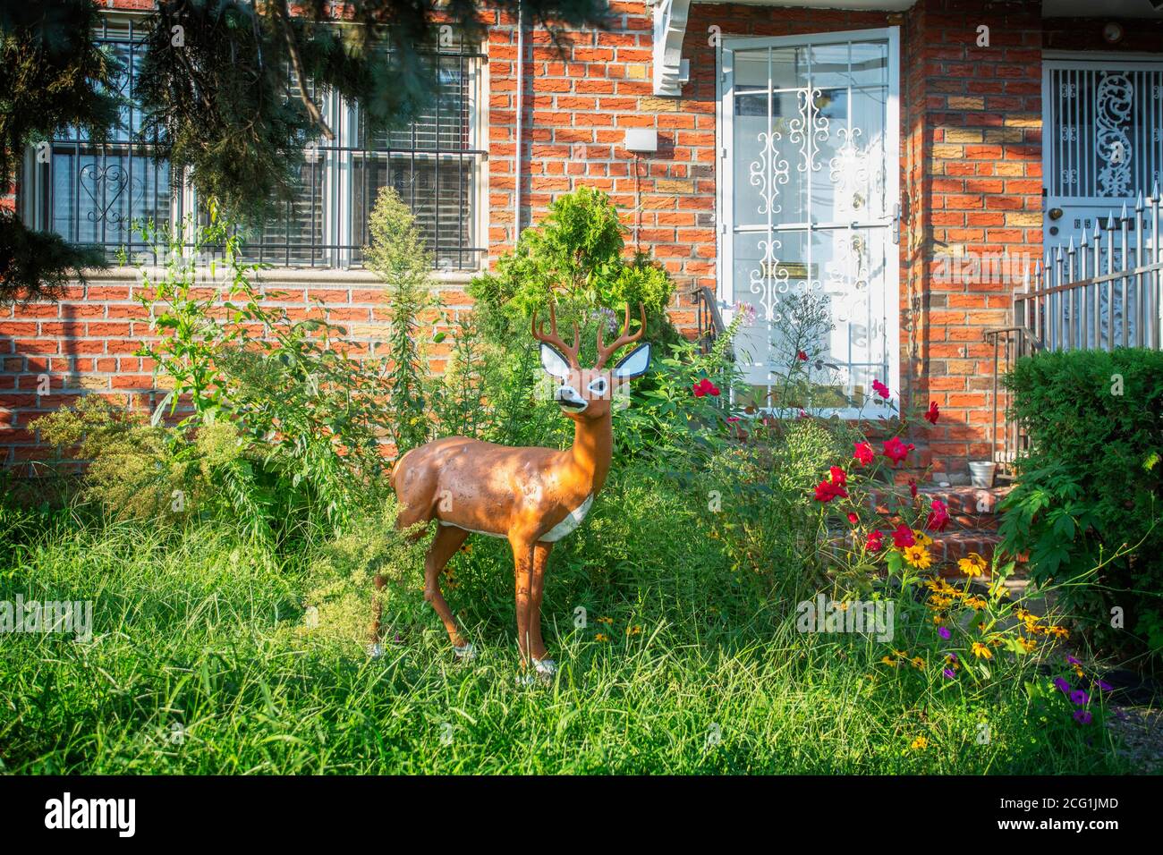 A statue of a deer stands among the flowers and weeds in the front yard of a house in Queens, New York Stock Photo