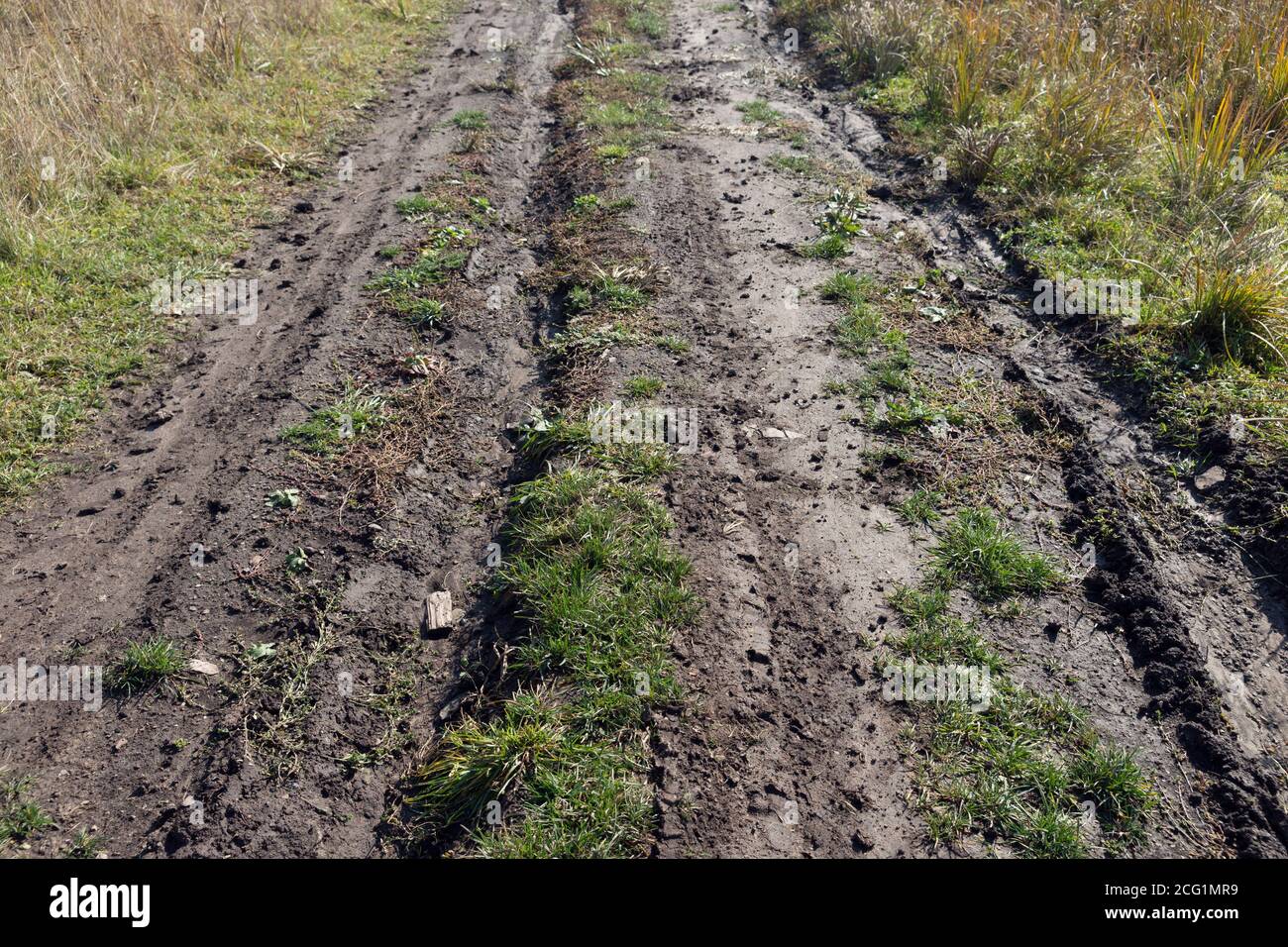 Rural dirt road, wet after rain. Stock Photo