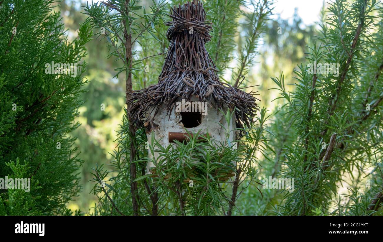 Bird house hidden between green plants Stock Photo