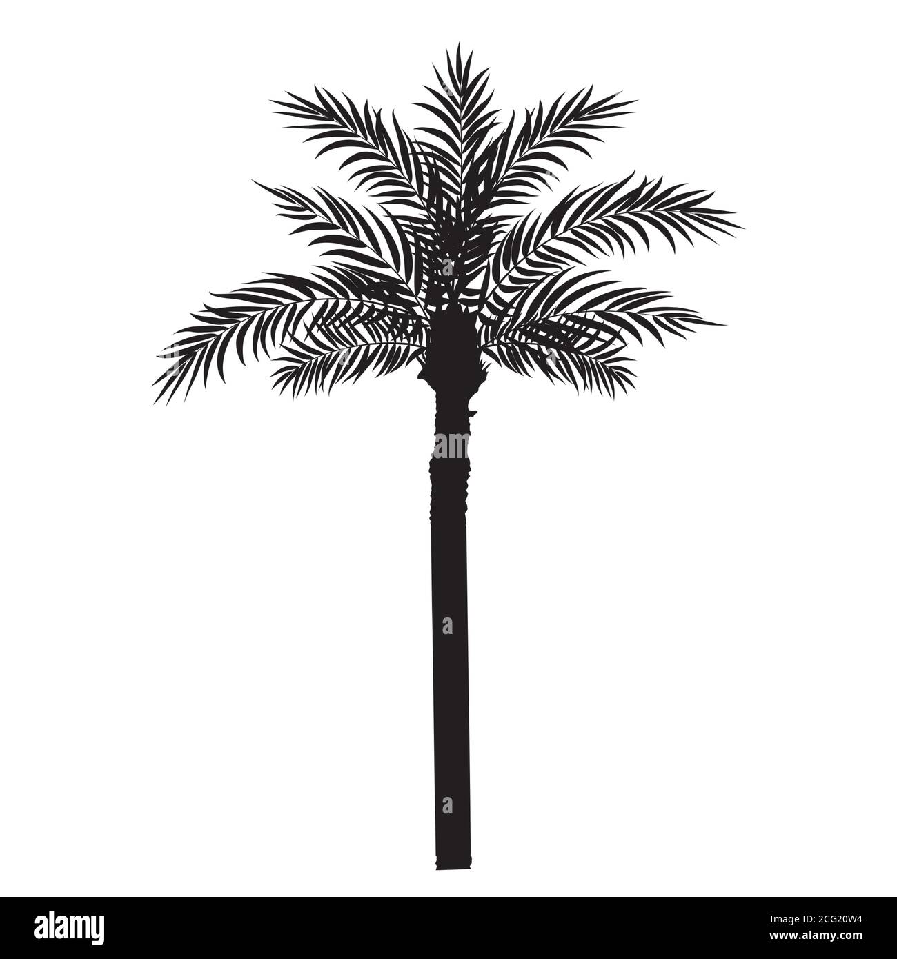 Beautiful Palm Tree Leaf Silhouette Background Vector Illustration Stock Vector