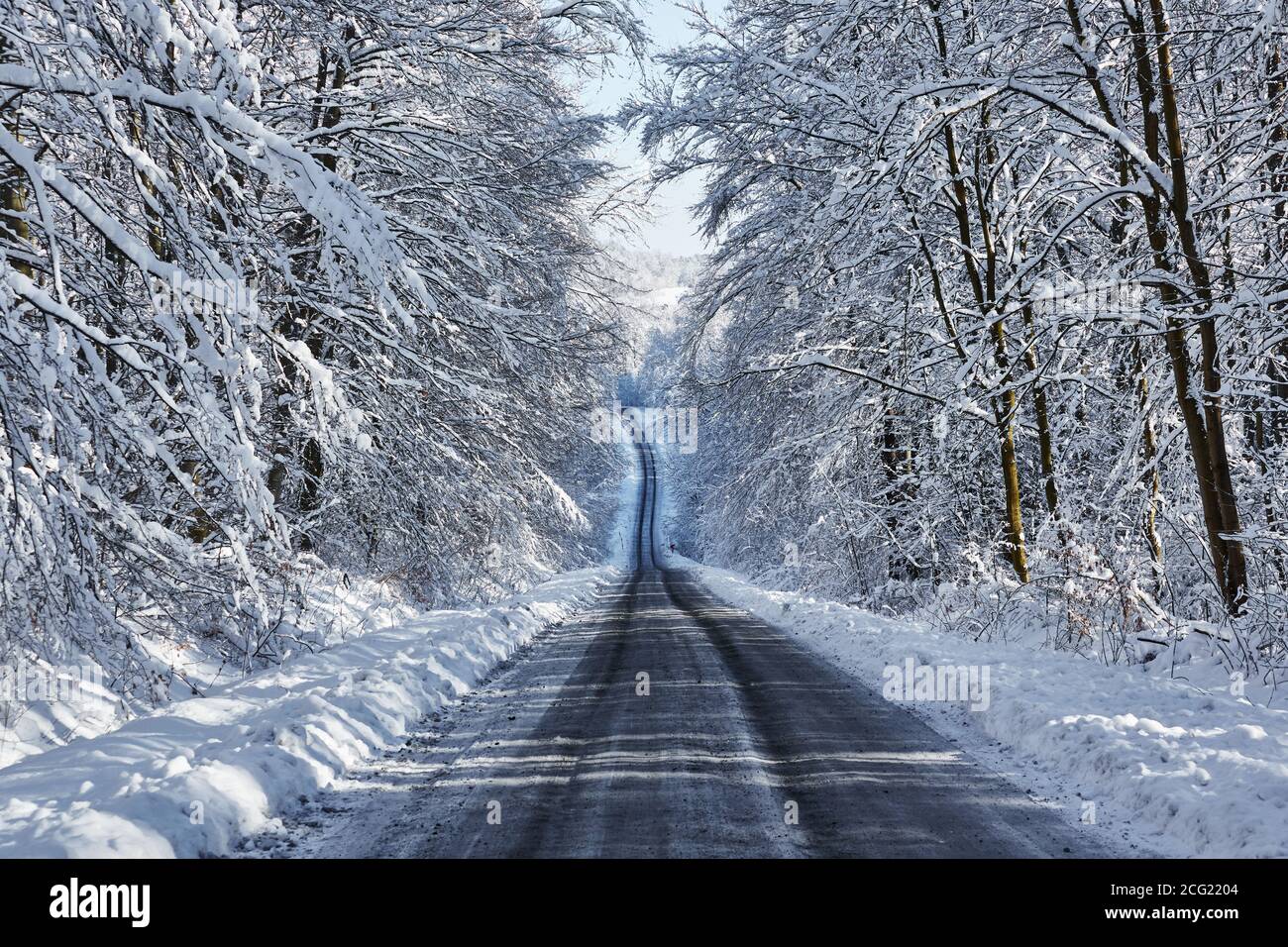 Amazing, snowy forest view with long road up, during winter in Poland. Stock Photo