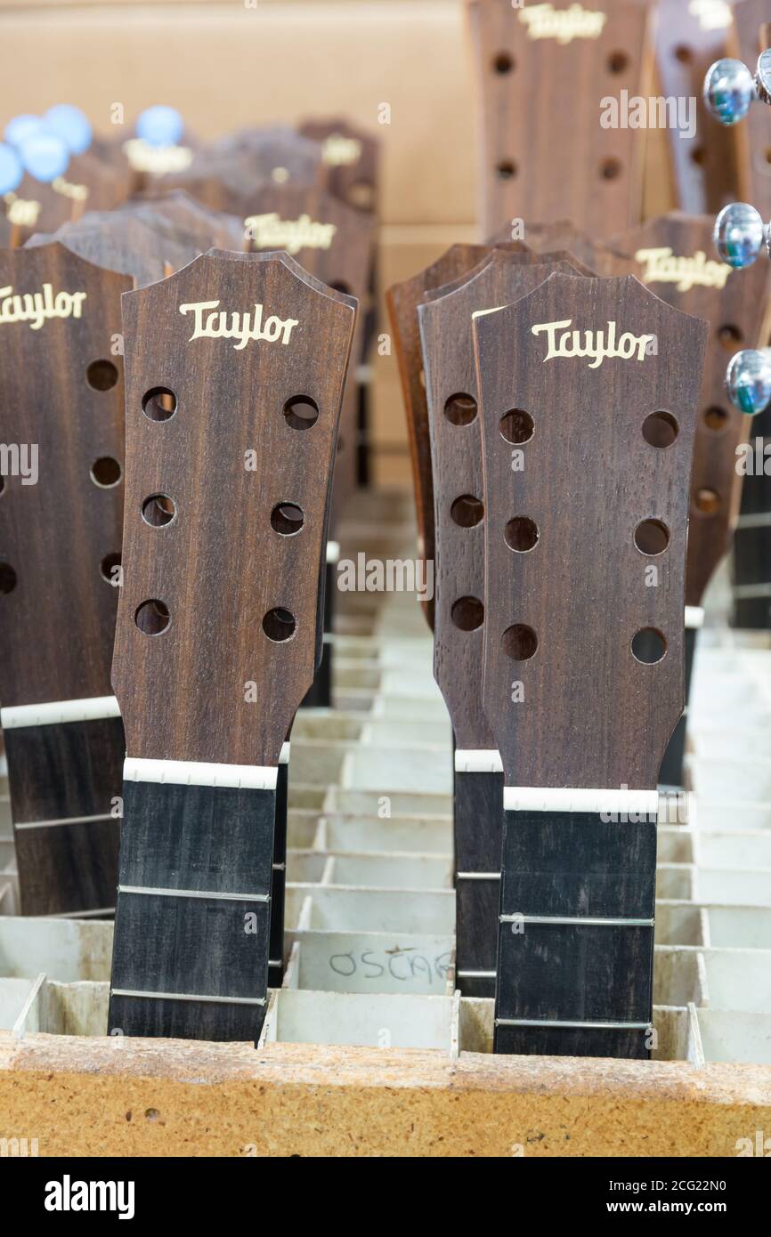 Unfinished guitar neck headstocks await assembly in the production of Taylor guitars in their Tecate, Mexico factory. Stock Photo